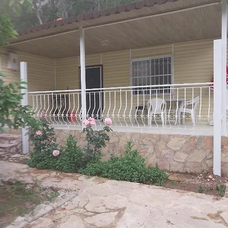 Village Garden 民宿