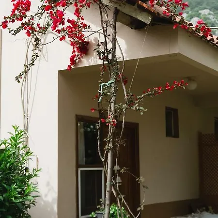 Village Garden 民宿