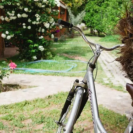 Village Garden 民宿