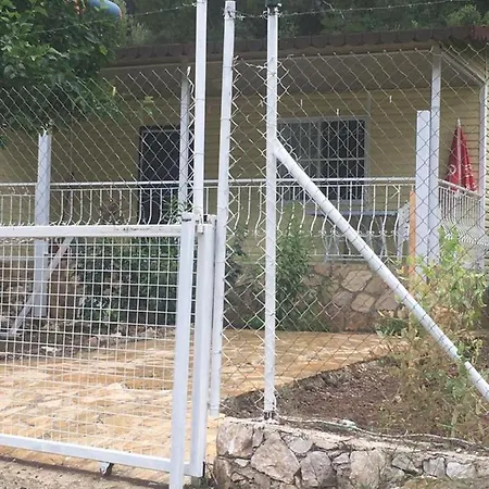 Village Garden *