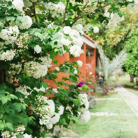 Village Garden *