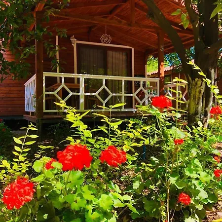 Village Garden Проживание в семье