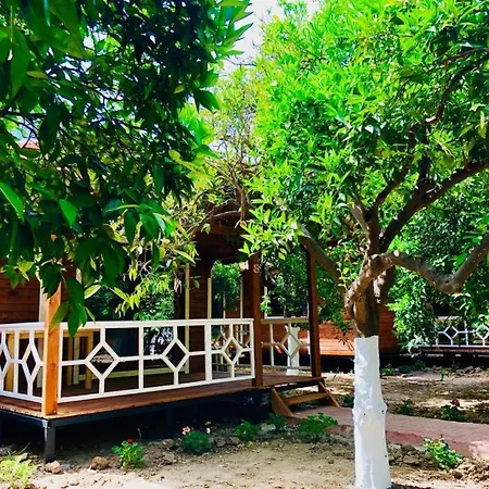 Village Garden
