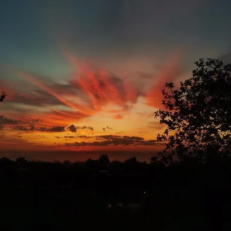 Village Garden Проживание в семье