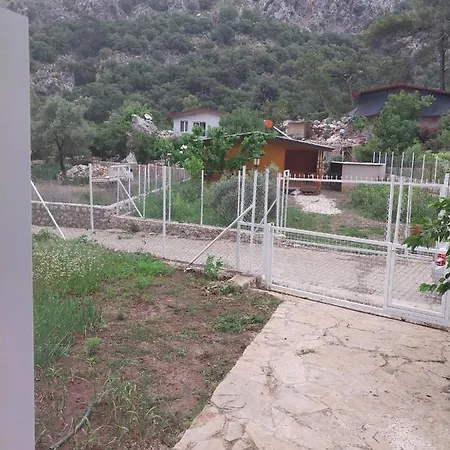 Проживание в семье Village Garden *