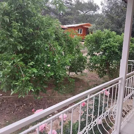 Village Garden Проживание в семье *