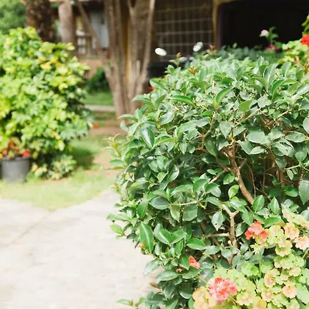 Village Garden Homestay *
