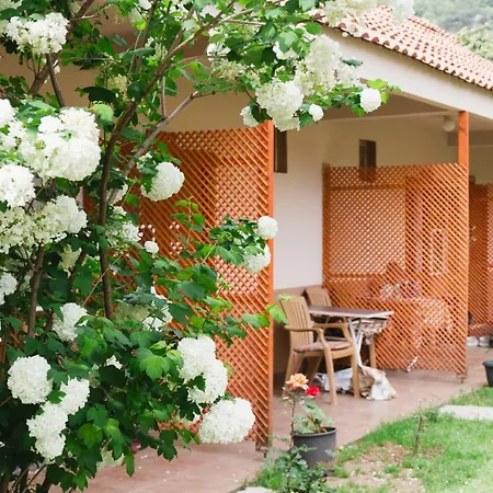 Village Garden * Antalya