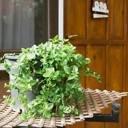 Homestay Village Garden
