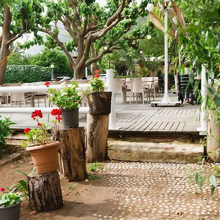 Village Garden *