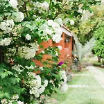 Village Garden *