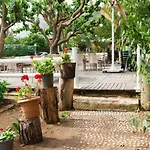 Village Garden *
