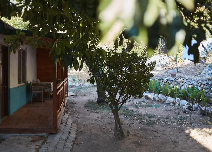 Village Garden *