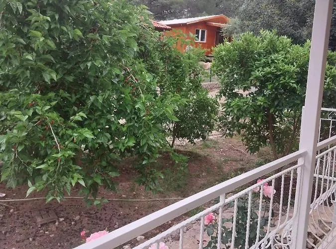 Village Garden Pansiyon *