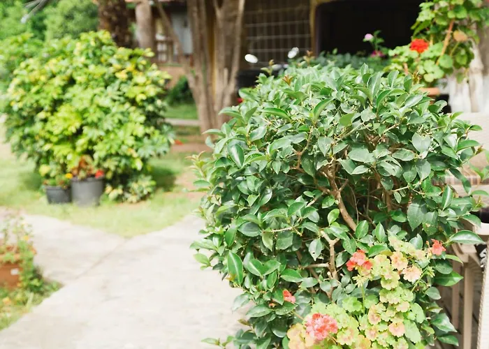 Village Garden Pansiyon *