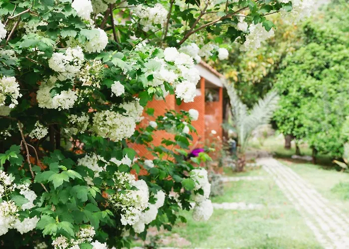 Village Garden *