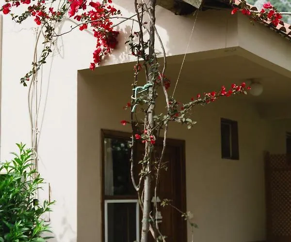 Village Garden Pansiyon