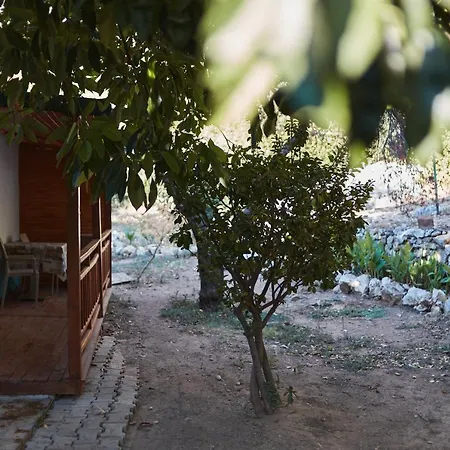 Village Garden *